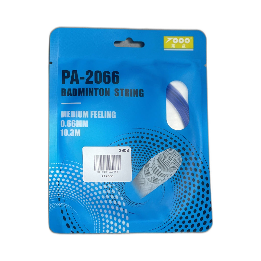 PA2066
