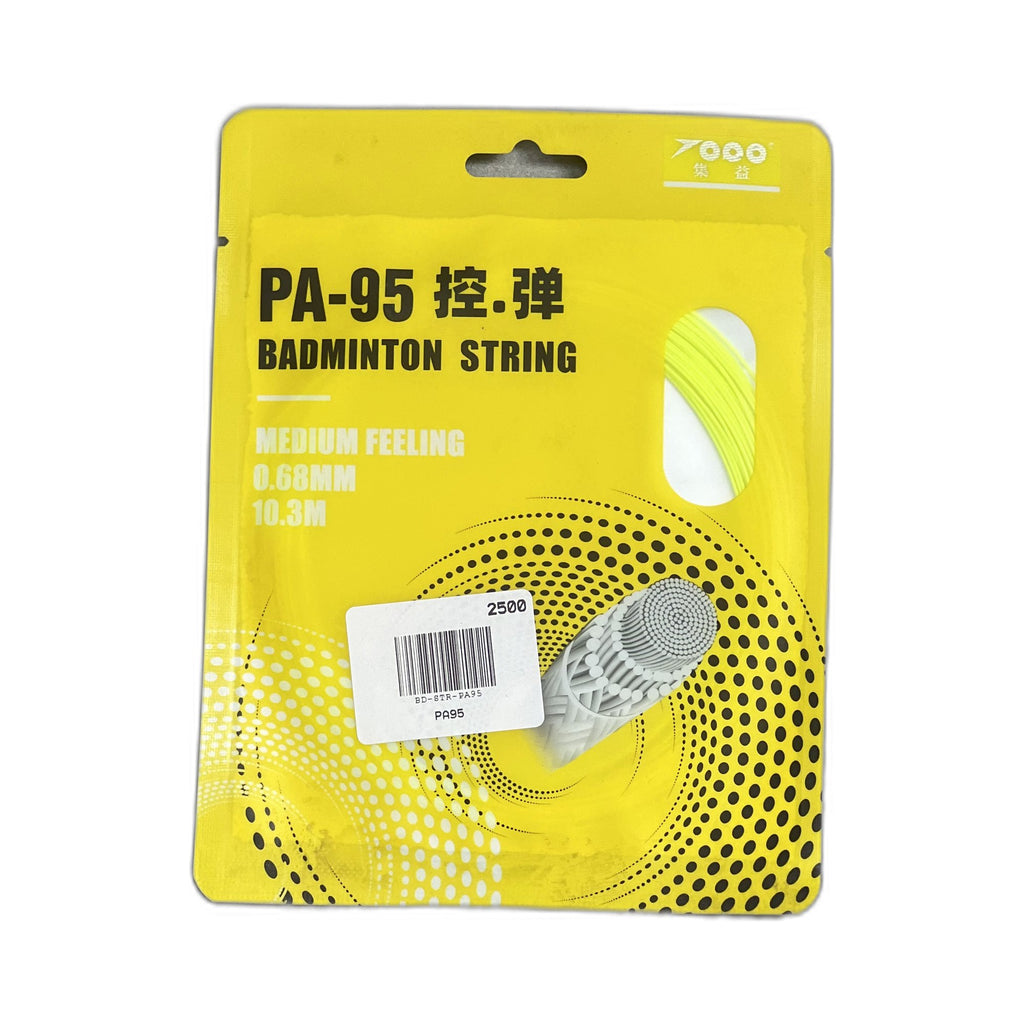 PA95