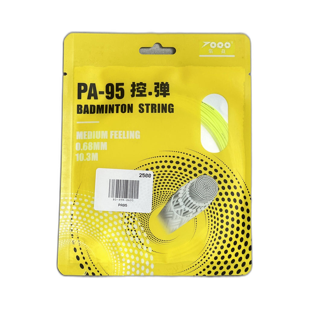PA95
