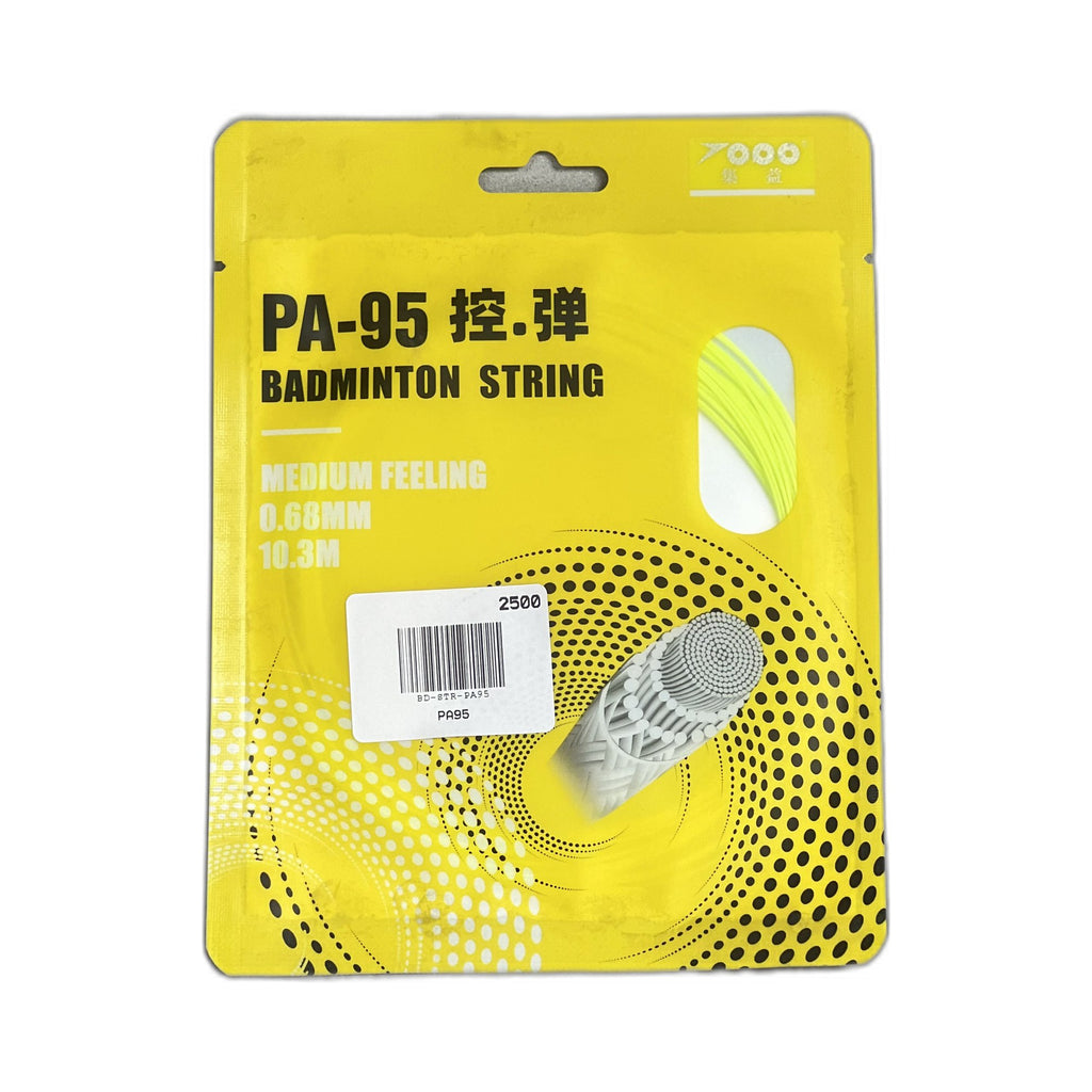 PA95
