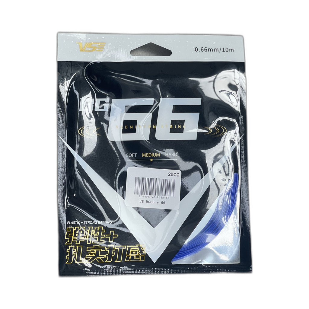 VS BG65 + 66