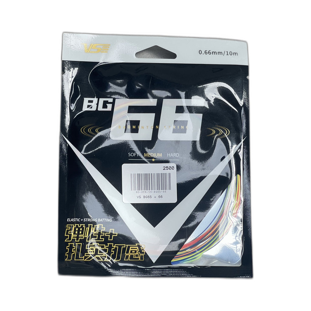 VS BG65 + 66