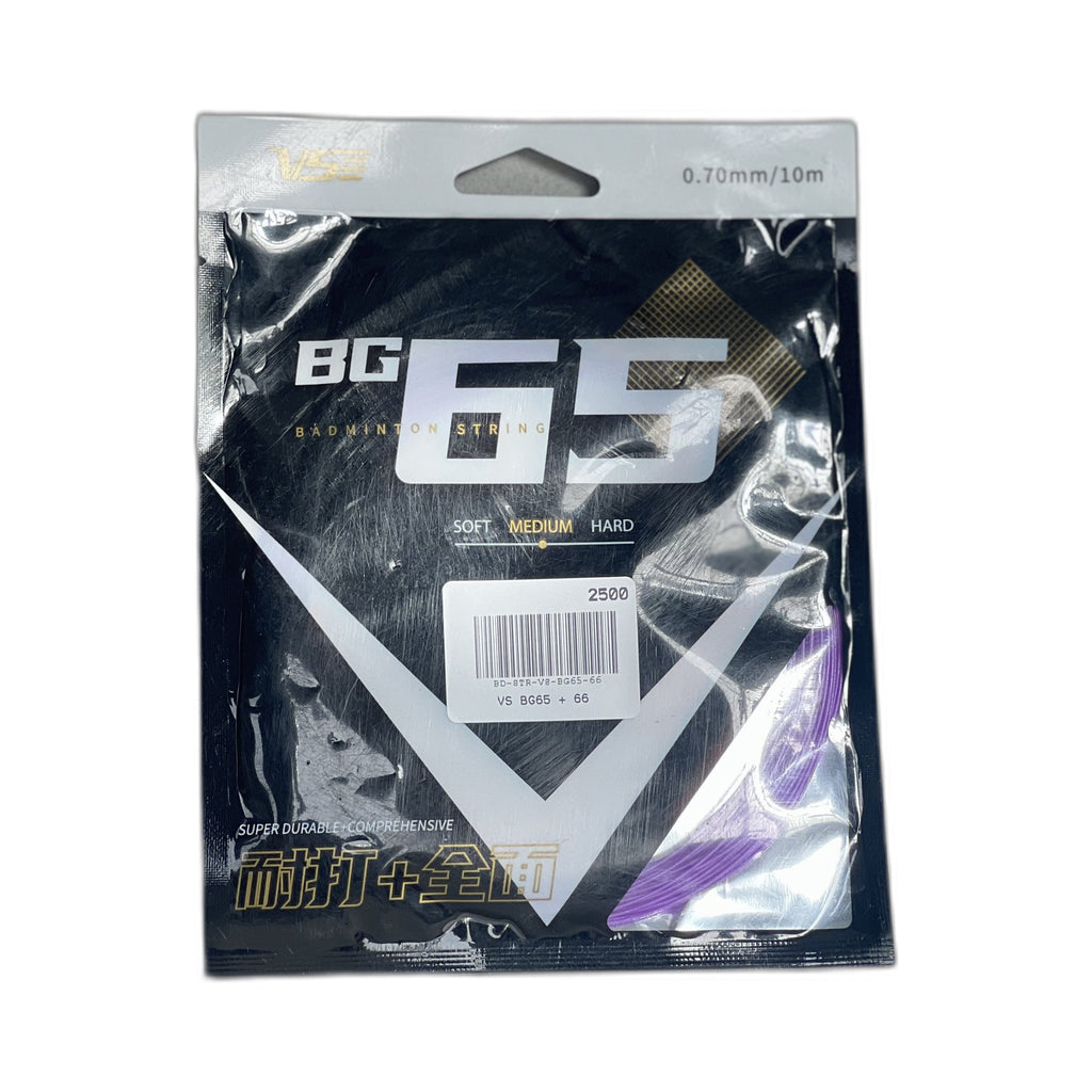 VS BG65 + 66