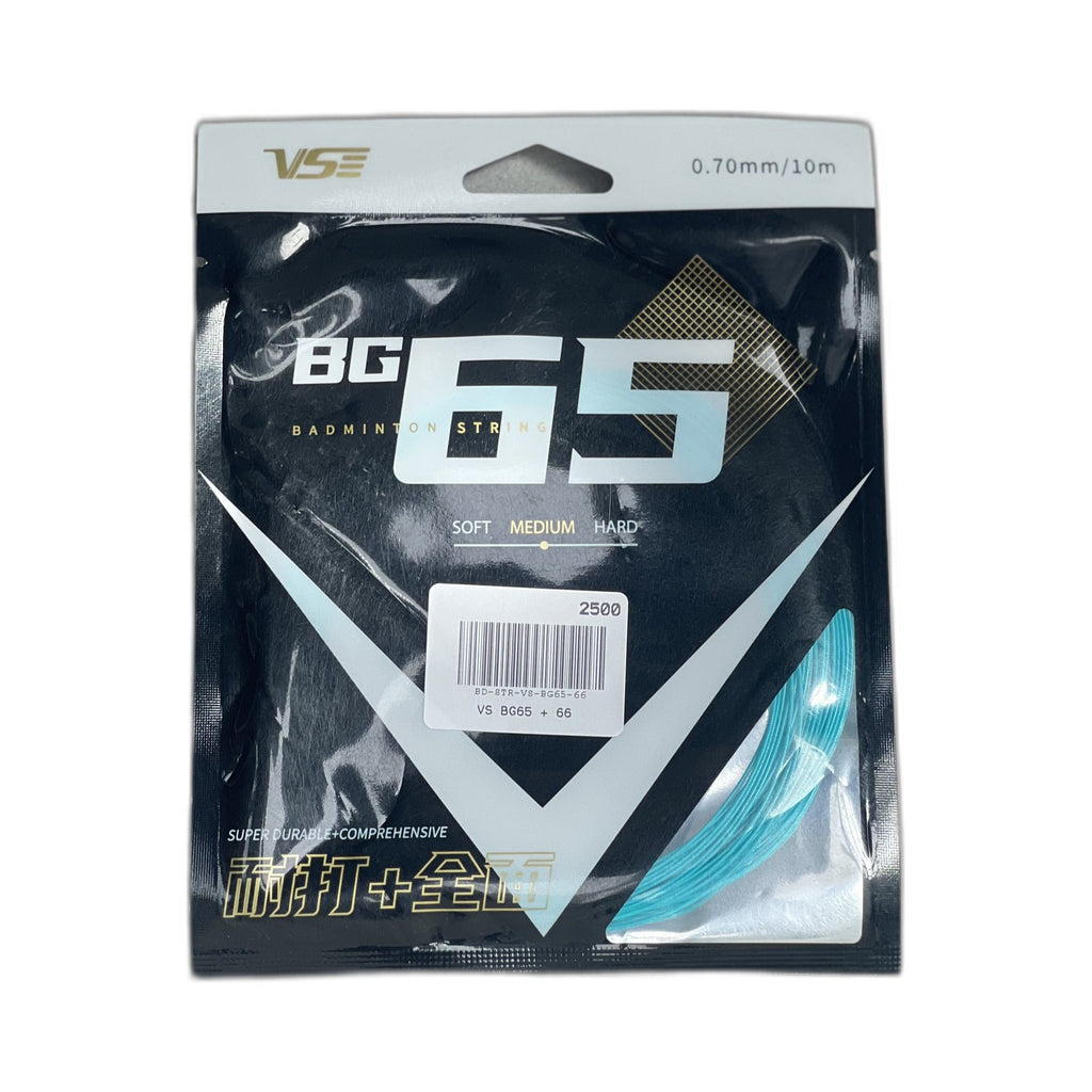 VS BG65 + 66