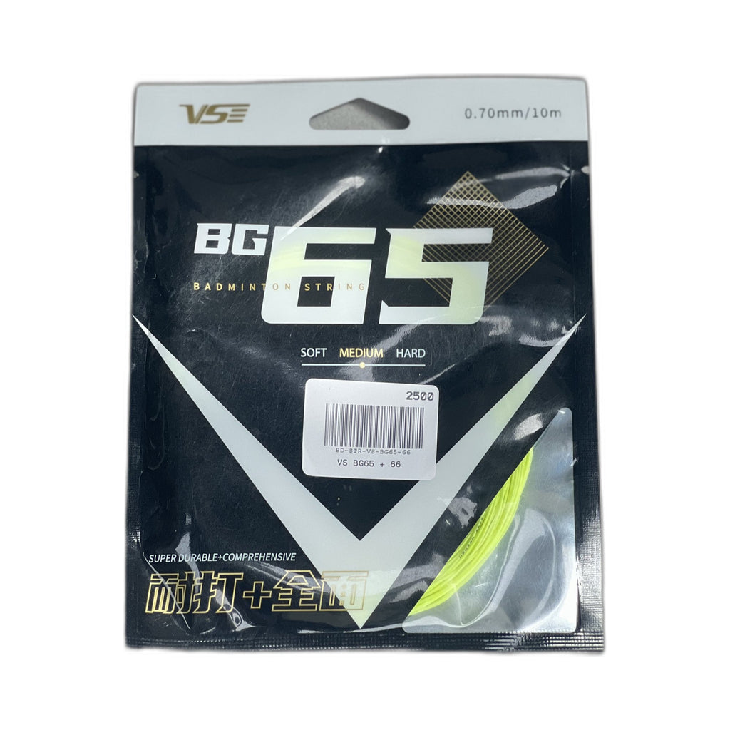VS BG65 + 66