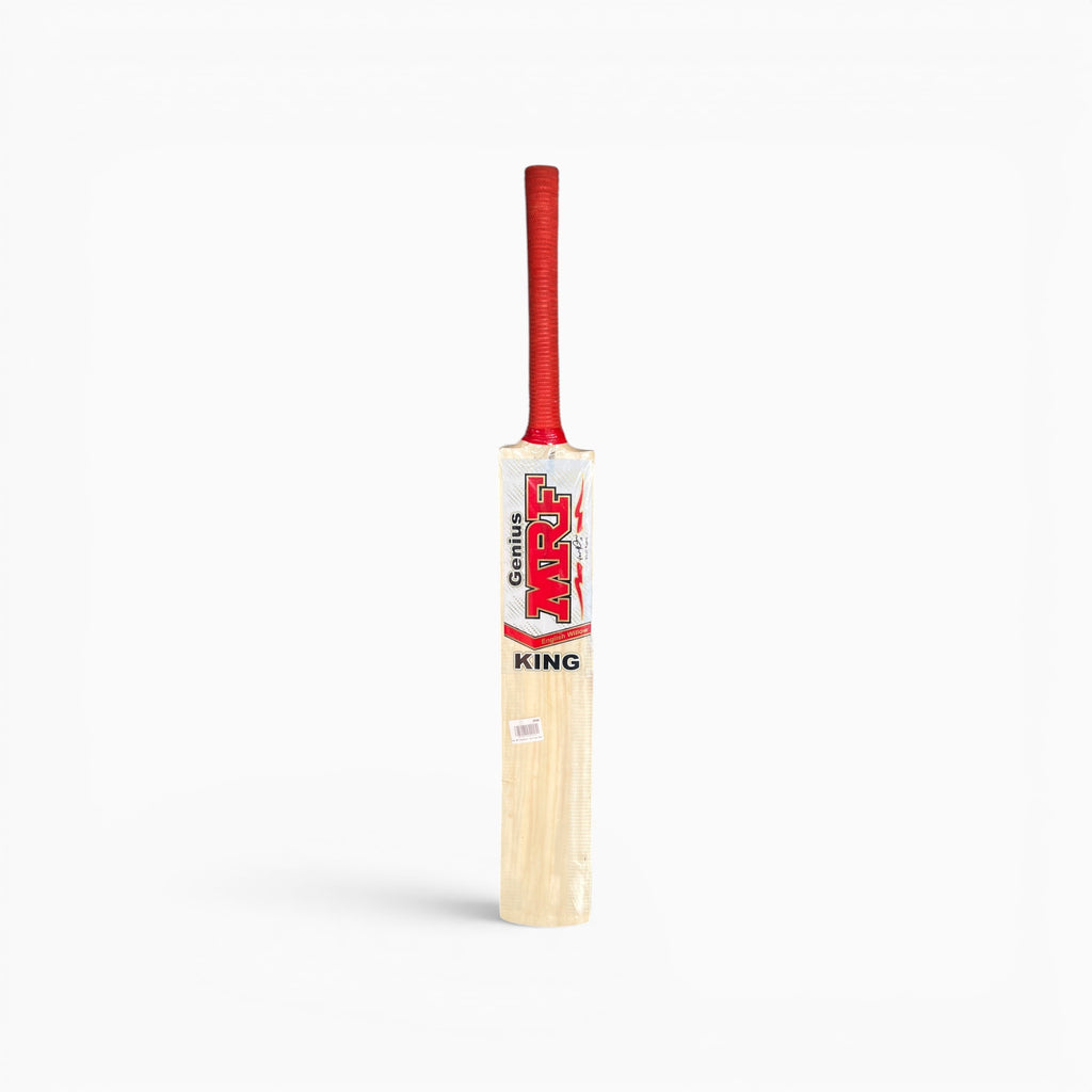 SS GM Kashmir Willow Bat