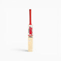 SS GM Kashmir Willow Bat